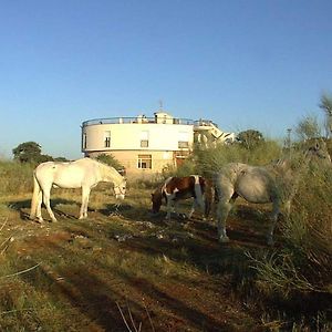 Hotel Paraje La Lambra